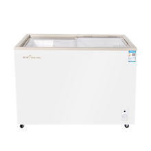 穗凌（SUILING）WD4单温冷冻冷藏可转换卧式陈列柜饮料保鲜柜玻璃门小冰柜雪糕柜 WD4-165K