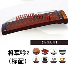 古筝琴考级演奏便携小古筝儿童初学练习21弦90cm迷你古筝小筝 将军吟2【标配】