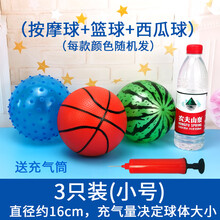 小孩玩的皮球 充气球儿童玩具拍拍球小皮球西瓜球幼儿园弹力小篮球按摩球球类MSY 3个小号(篮球+按摩球+西瓜球) 送气筒1个