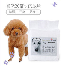 SLPC 狗狗生理裤 姨妈巾宠物狗尿垫公狗狗尿不湿母狗生理裤中小型犬纸尿裤 母犬XL号10片，体重15-26公斤腰围50-70