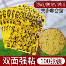 【强力】100张黄板双面粘虫板诱虫板沾虫纸贴黄色沾室内花草小飞虫蓟马灭果蝇粘板菜地果园田地大棚粘蝇贴 黄色15*10 100张