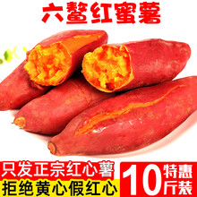 福建六鳌红蜜薯沙地新鲜红薯10斤农家香甜板栗红心地瓜糖心小番薯 1500g