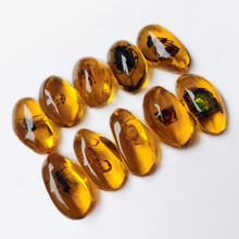 缅甸琥珀昆虫标本昆虫琥珀原石手把件昆虫琥珀原石 金珀随机发货