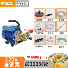 220V伏电动打药机喷雾器高压农药机大功率农用喷药器新式园林果树 1.1KW手提+200米管