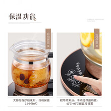 养生壶全自动加厚玻璃电煮茶壶中药壶煎药大容量2-2.5l黑茶 炖盅+大滤网+蒸蛋架+除垢剂 升级版2.5L