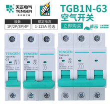 天正电气TGB1N-63空气开关小型断路器63家用32A短路过载保护C型1P2P3P4P单相220V TGB1N-63 3P C 32A