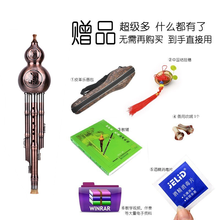 藝歌7孔葫芦丝初学者小学生自学镀铜防摔C调儿童入门吹奏乐器大全成人降b调专业演奏型葫芦丝吹嘴教材 葫芦丝古铜色【 C】+消毒棉+中国结+琴盒+教材书