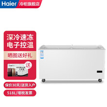 海尔（Haier）商用冷冻展示柜玻璃门冷藏冷冻冰柜冰激凌雪糕柜 卧式冷柜 海鲜柜 SD-518HE电子控温 单冷冻