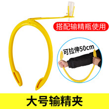 牧尔康加厚加大号母猪用输精夹人工辅助授精配种架输精管瓶之架养猪设备 大号