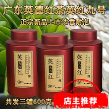 英九红茶 200克 多规格 叶红茶 英德红茶英红九号粤北特产 一级老树鲜叶 浓香型新红茶 【老树200克罐装】共发三罐
