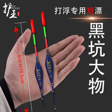 护王打浮短漂黑坑大物吃铅5g长19cm醒目矶钓远投大物加粗浅水鱼漂 打浮大物日夜两用电子漂 3号一支