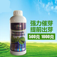 农药茶叶茶树专用叶面肥 海岱茶叶催芽剂催芽素多芽嫩芽暴芽增产 1000毫升