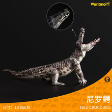 玩模乐仿真动物儿童玩具野生动物鳄鱼模型尼罗扬子鳄 野猪鳄玩具 儿童认知玩具3-10岁 尼罗鳄鱼