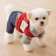 AITAPET 狗狗衣服 秋冬季加厚狗衣服四脚变身装小型犬中型犬幼犬服装泰迪法斗柯基比熊宠物小狗衣服 红色款 M码 建议体重5-8斤内