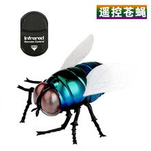 玩控电动遥控仿真蛇玩具动物模型整人整蛊道具 遥控苍蝇