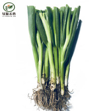 绿源禾心 有机小葱 香葱 有机蔬菜认证 生鲜套餐 配送 【顺丰速运】 250g