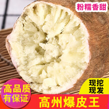 高州爆皮王蕃薯 面包王番薯 新鲜粉番薯 白肉干面薯地瓜5斤