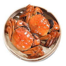 【活蟹】 宿有千香霸王蟹 鲜活大闸蟹净重公2.5两 母2.0两 4对8只现货螃蟹生鲜礼盒装