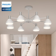 飞利浦8头客厅吊灯卧室灯现代简约大气家用餐吊灯3头马卡龙柜台吧台创意6头吊灯凡洛北欧经典 凡洛8头顶灯银色