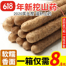 山药新鲜带箱5斤小白嘴铁杆铁棍淮山怀麻山药 非河南焦作温县垆土 带箱9.5斤