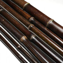 紫竹杆料紫竹篱笆鱼杆竹子竹竿旗杆装潢竿乐器料抄网满围栏栅栏(20根起拍) 紫竹：3-3.5cm(2米)