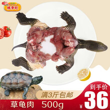 桃李旺 草龟肉 食用乌龟肉 新鲜速冻冷冻外塘中华草龟王八老龟土龟鳖 500g 生鲜龟类