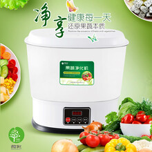 爱佳尔全自动家用多功能果蔬净水机解毒机洗菜机水果蔬菜羟基水离子杀菌消毒机洗水果机净食机 白色