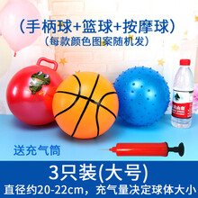 小孩玩的皮球 充气球儿童玩具拍拍球小皮球西瓜球幼儿园弹力小篮球按摩球球类MSY 3个大号(蓝球 +手柄球+按摩球) 送气筒1个