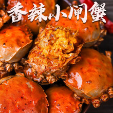 香辣蟹罐装熟食小螃蟹大闸蟹麻辣海鲜零食即全母蟹一元蟹 【全母350克1罐】香辣