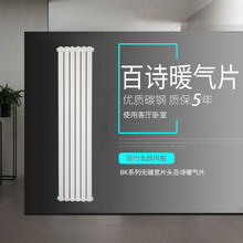 百诗 BAISHI 散热器 无缝宽片头BK系列 （单片价格需要几柱就拍几柱） 可定制颜色 600(全高0.6米)