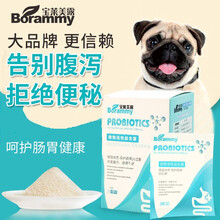 宝莱美露 宠物狗狗海藻卵磷脂亮毛粉 壮骨钙粉 肠胃宝粉 猫狗益生菌 益生菌粉5g*10包【改善腹泻】