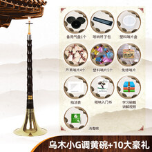 唢呐乐器全套 初学者民族乐器喇叭d调小号唢呐演奏服务 乌木小G调黄碗+10大