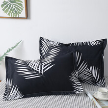 枕头单人学生宿舍简约男整头女可爱家用双人一对护颈椎枕芯带枕套 黑色 雨林（1对装）