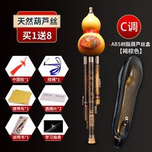 葫芦丝初学入门C调降B调葫芦笛耐用好吹演奏民族乐器 可刻字 紫竹葫芦丝C调+树脂褐棕盒+配件