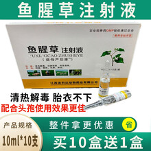 迅销 鱼腥草注射液兽用益母产后康兽药猪牛羊狗猫产前产后消炎排脓针猪药胎衣不下 10ml*10支 10ml*10支/盒