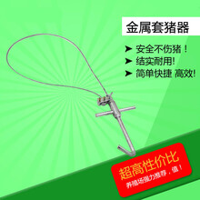 其六猪用保定器套猪绳钢丝绳猪套子定猪器抓猪神器兽用器械打针套嘴器器材猪用保 金属套猪器(50个)