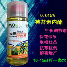 芸苔素内酯 植物生长调节剂 抗病增产生根壮苗保花膨果抗旱农药 200ml/瓶