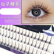 乐哉美妆嫁接假睫毛网红花仙子假眼睫毛贴超自然仿真单簇种植朵毛自嫁接单根A型女M形