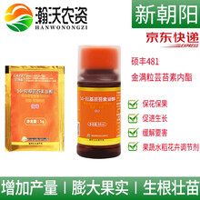 瀚沃 硕丰481金满粒芸苔素内酯植物生长调节剂解药害花卉果蔬保花保果 5g*1袋