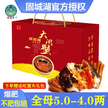 【活蟹现货】必有重蟹清水大闸蟹固城湖鲜活螃蟹特大全母全公河蟹毛蟹六月黄大蟹生鲜海鲜水产中秋礼盒装现货 【礼盒】公4.5-4.1两母3.1-2.9两8只