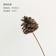 芳庭 干花花束北欧拍摄道具干树枝真花DIY莲蓬插花装饰家居摆件 原色松果 单枝 干树枝