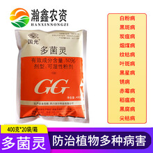 瀚鑫 国光多菌灵杀菌剂通用花药百菌清灭菌灵花卉除菌土壤消毒根腐黑腐农药 100g