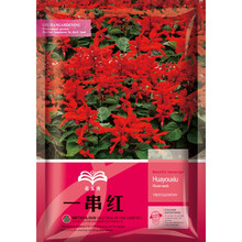 花友秀 矮杆一串红种子花卉种子阳台花卉 室外庭院绿化花种籽子工程园林草花种子春秋易种  矮杆一串红种子 1克约200粒 厂商封装