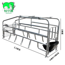 牧尔康 猪产床单体2.5热镀锌落地产床70宽产床定位栏限位栏保育床 国标2.5厚母猪位普通落地产床 冷镀锌2.0母猪位60宽（顺丰到镇）