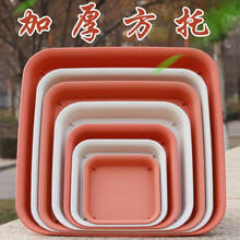 正方形花盆托盘 树脂接水盘底座加厚塑料花盘多肉盆栽底托 米白6号-内宽25cm