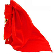 新宝 军号冲锋号小号乐器大全 集结号黄铜大步号起床号省力型 红布*1个【无需单拍】