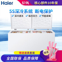 海尔（Haier）商用卧室冷柜 展示柜 卧式冷藏柜 超市食品柜 商用冷冻柜 BC/BD-519HCM