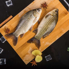 微山湖鲫鱼鲜活新鲜淡水鱼现捕现杀孕妇下奶月子炖汤 顺丰冷链 三斤鲫鱼现杀 每斤2-3条