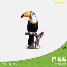 玩模乐飞禽动物模型 孔雀猫头鹰鸵鸟雪鸥蓝脚鲣鸟鹦鹉飞鹤秃鹫鹈鹕儿童玩具鸟类模型男女孩礼物3-10岁 巨嘴鸟