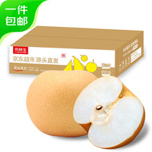 京鲜生 莱阳羊脂秋月梨 净重5斤 单果260g+ 源头直发 包邮